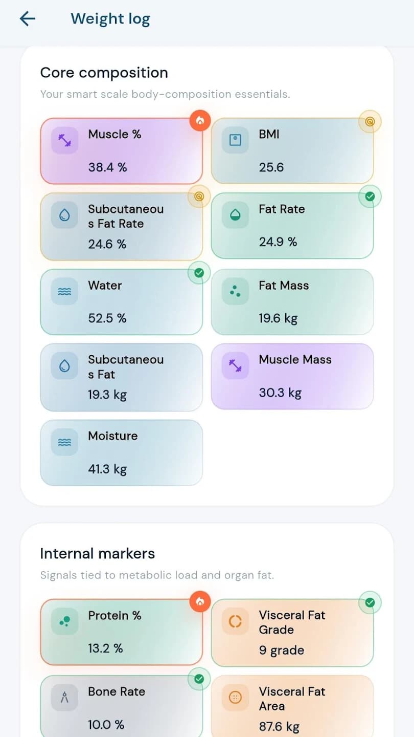 Full Body Composition
