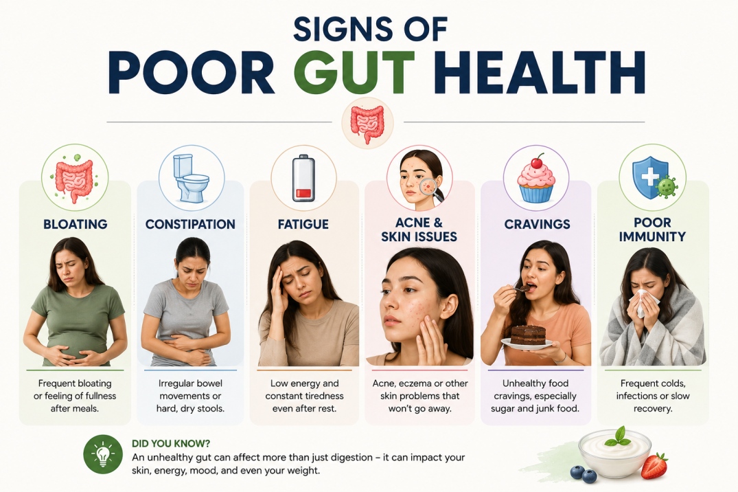 Gut Health and Weight Loss - WelloraFit