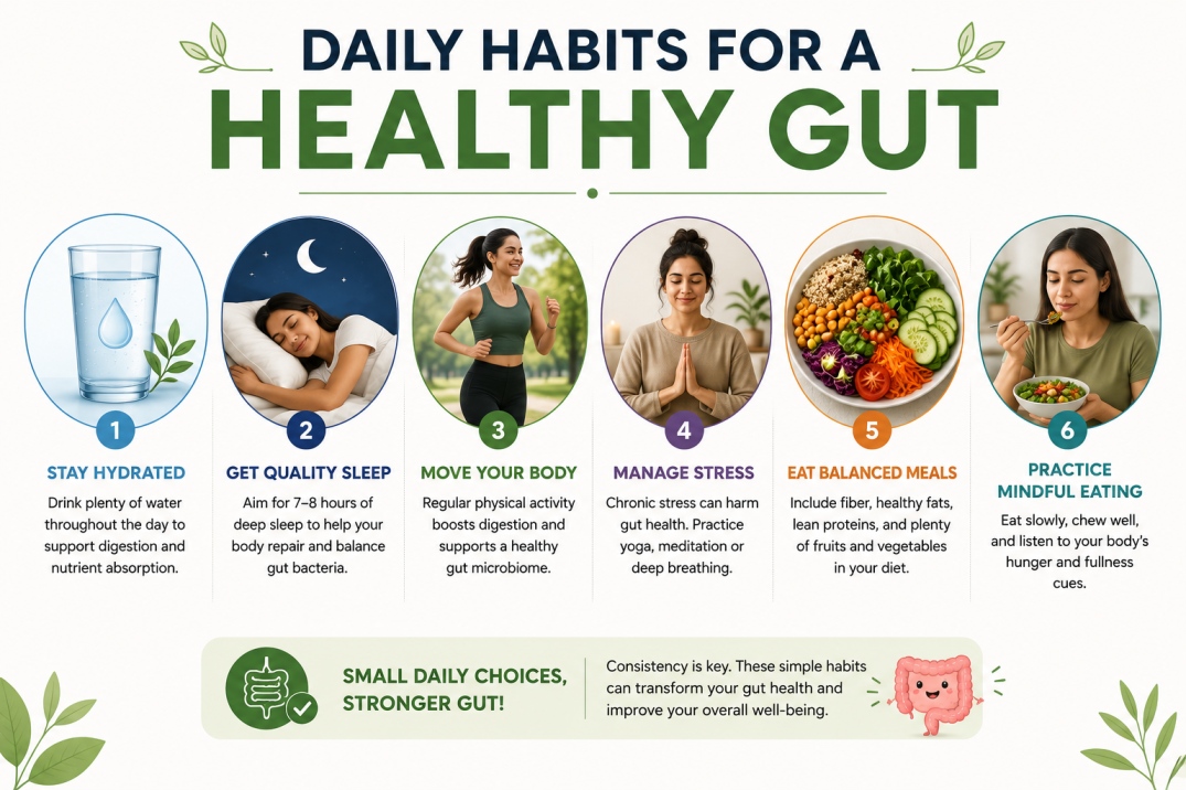 Gut Health and Weight Loss - WelloraFit