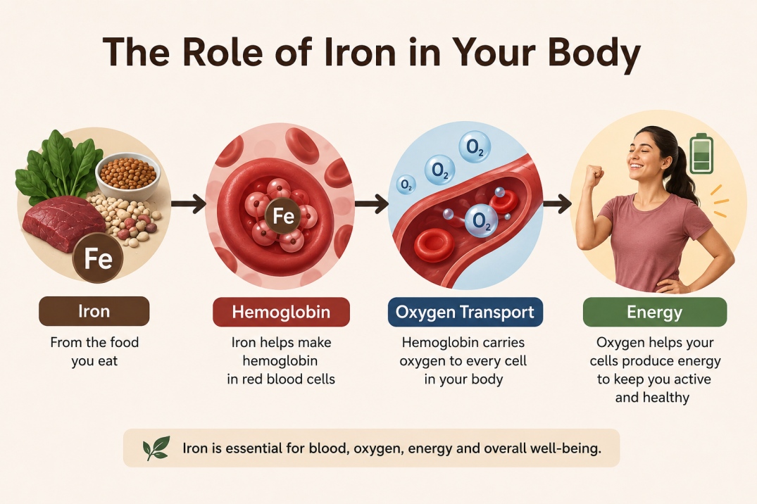 iron deficiency - WelloraFit