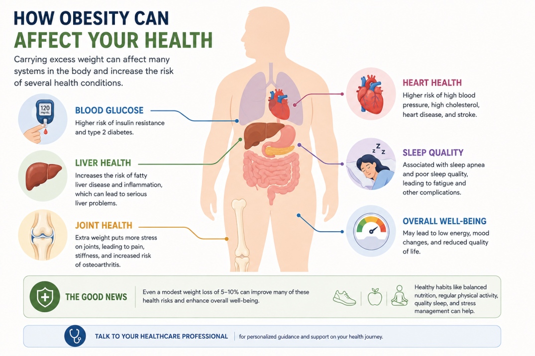 obesity diet - WelloraFit