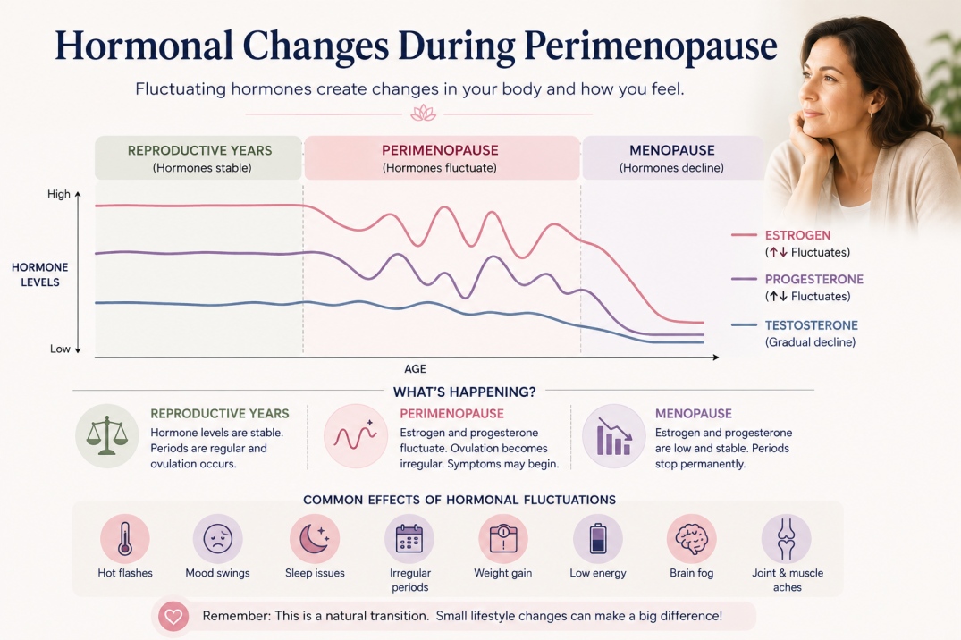 perimenopausal weight gain solutions - WelloraFit