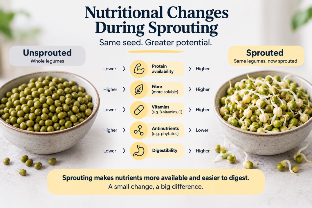 sprout - WelloraFit