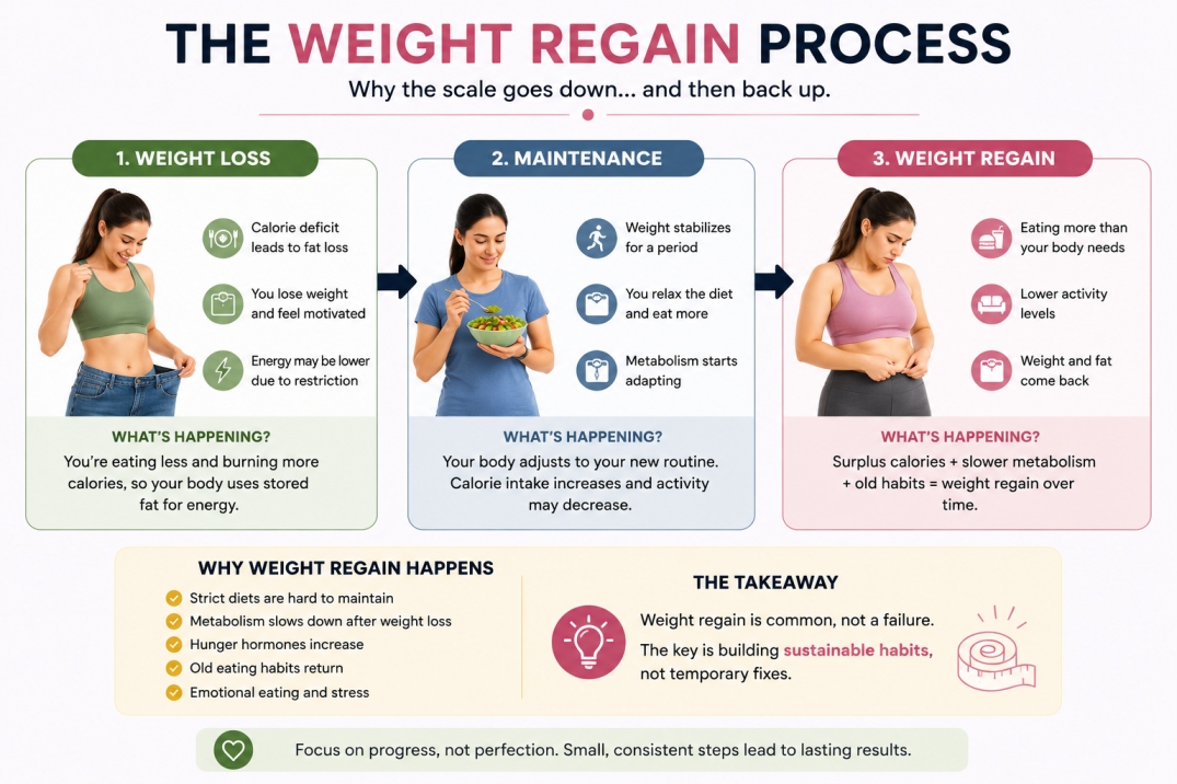 Weight Regain After Dieting - WelloraFit